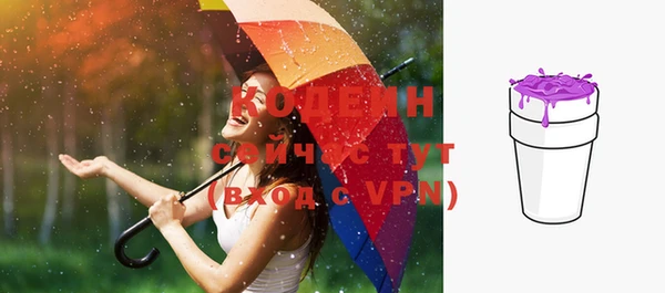скорость Вяземский