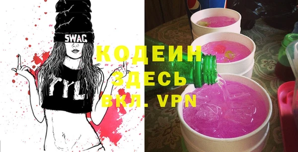 скорость Вяземский