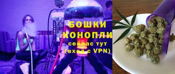 скорость Вяземский