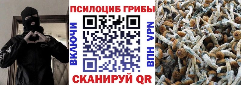 Псилоцибиновые грибы мухоморы Калачинск